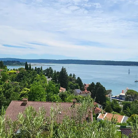 Apartma Sea View Daire